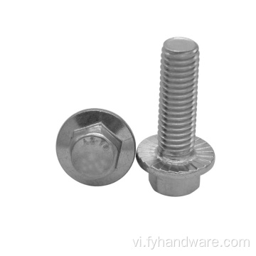 Thép không gỉ hex hex flange nut bu lông